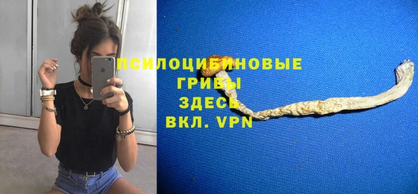 дурь Алексеевка