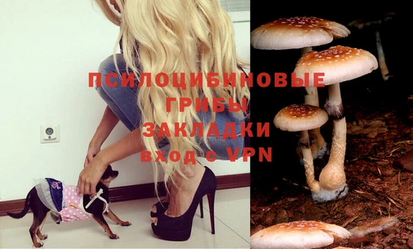дурь Алексеевка
