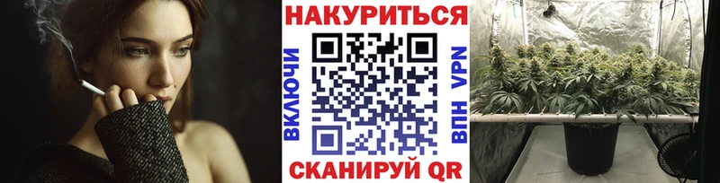 где можно купить   Кропоткин  Канабис MAZAR 